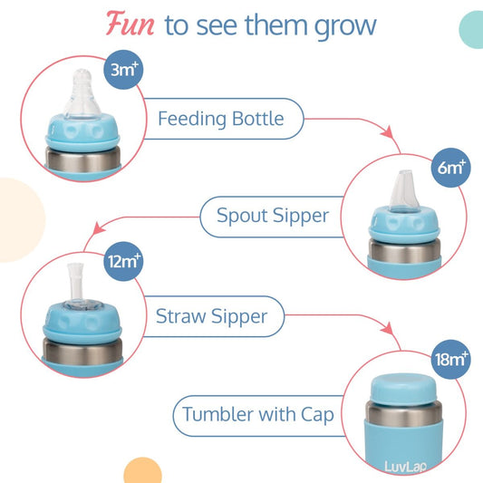 LuvLap 4-in-1 Stainless Steel Baby Bottle/Sipper SS304, Anti-Colic, Odor-Free, with Handles 19422 - 240ml- SkyBlue