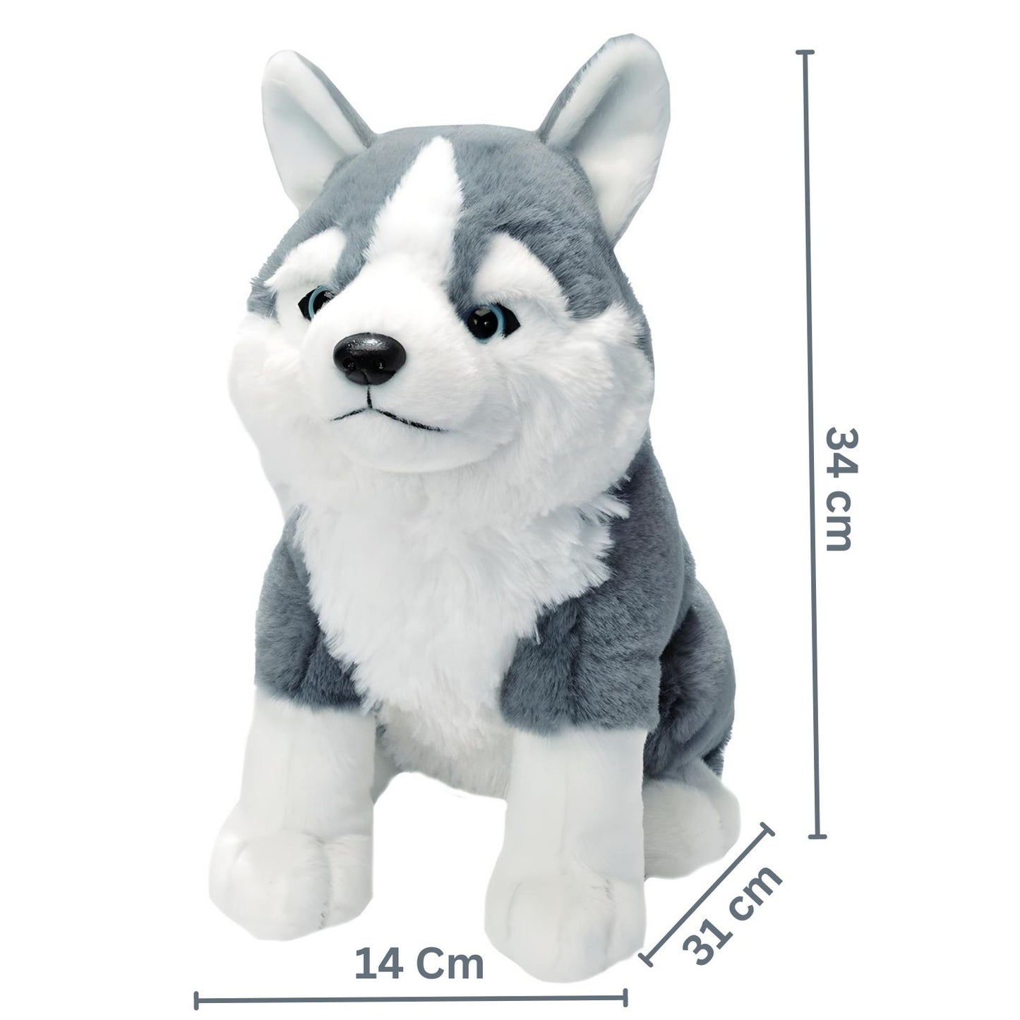 MM TOYS Premium Dog Soft Toy Husky 12 Inch Size Hug n Feel Fabric And Features , Realistic Details | Real Like Dog Soft Toy Gift For Kids, Girls, Adult And Car Décor Or Pets - White/Gray
